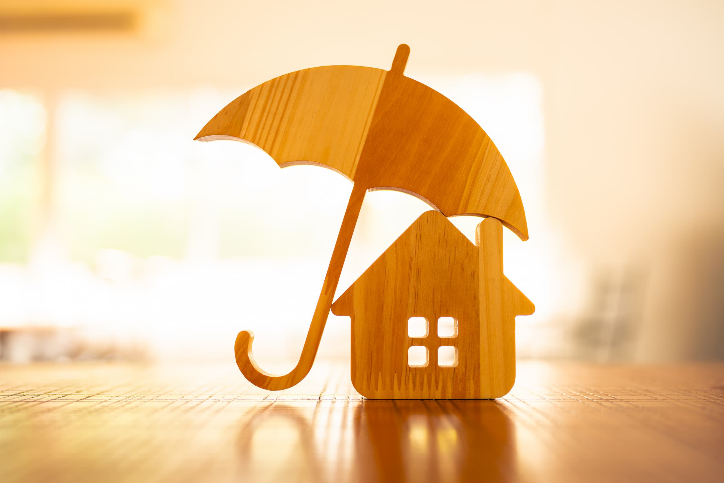 A wooden model of an umbrella covering a house.